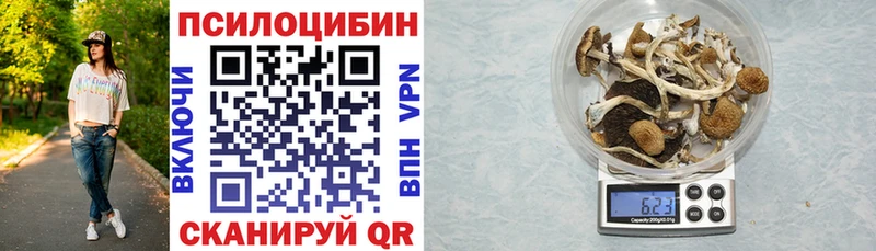 Псилоцибиновые грибы Magic Shrooms  сайты даркнета телеграм  Дзержинский  как найти закладки 